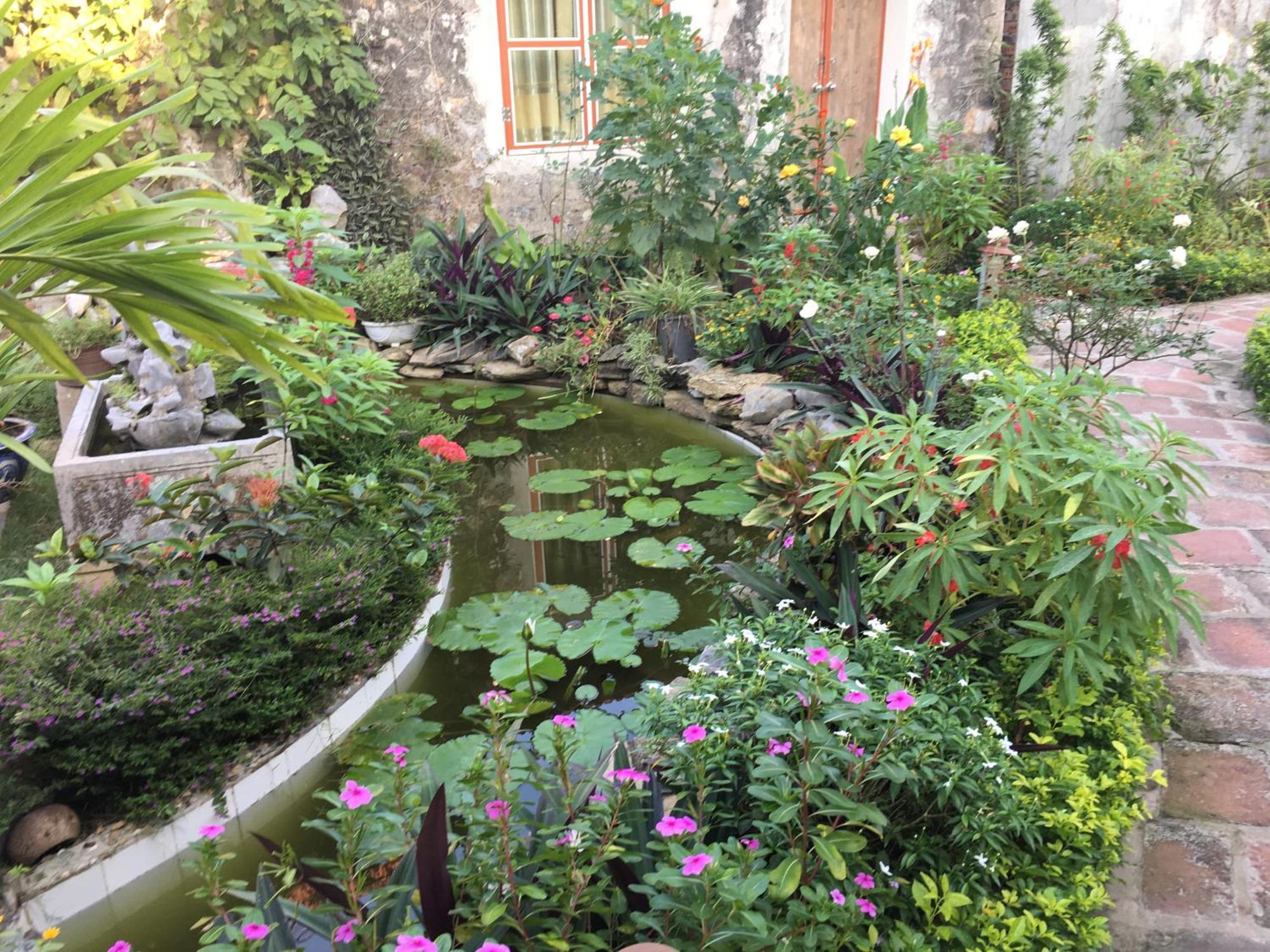 فيلا Tam Coc Palm House نينه بينه المظهر الخارجي الصورة