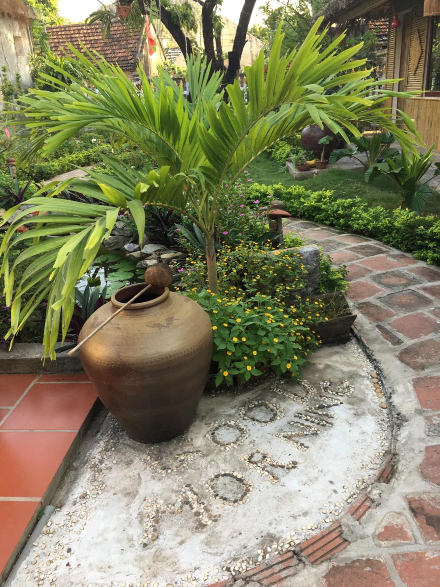 فيلا Tam Coc Palm House نينه بينه المظهر الخارجي الصورة