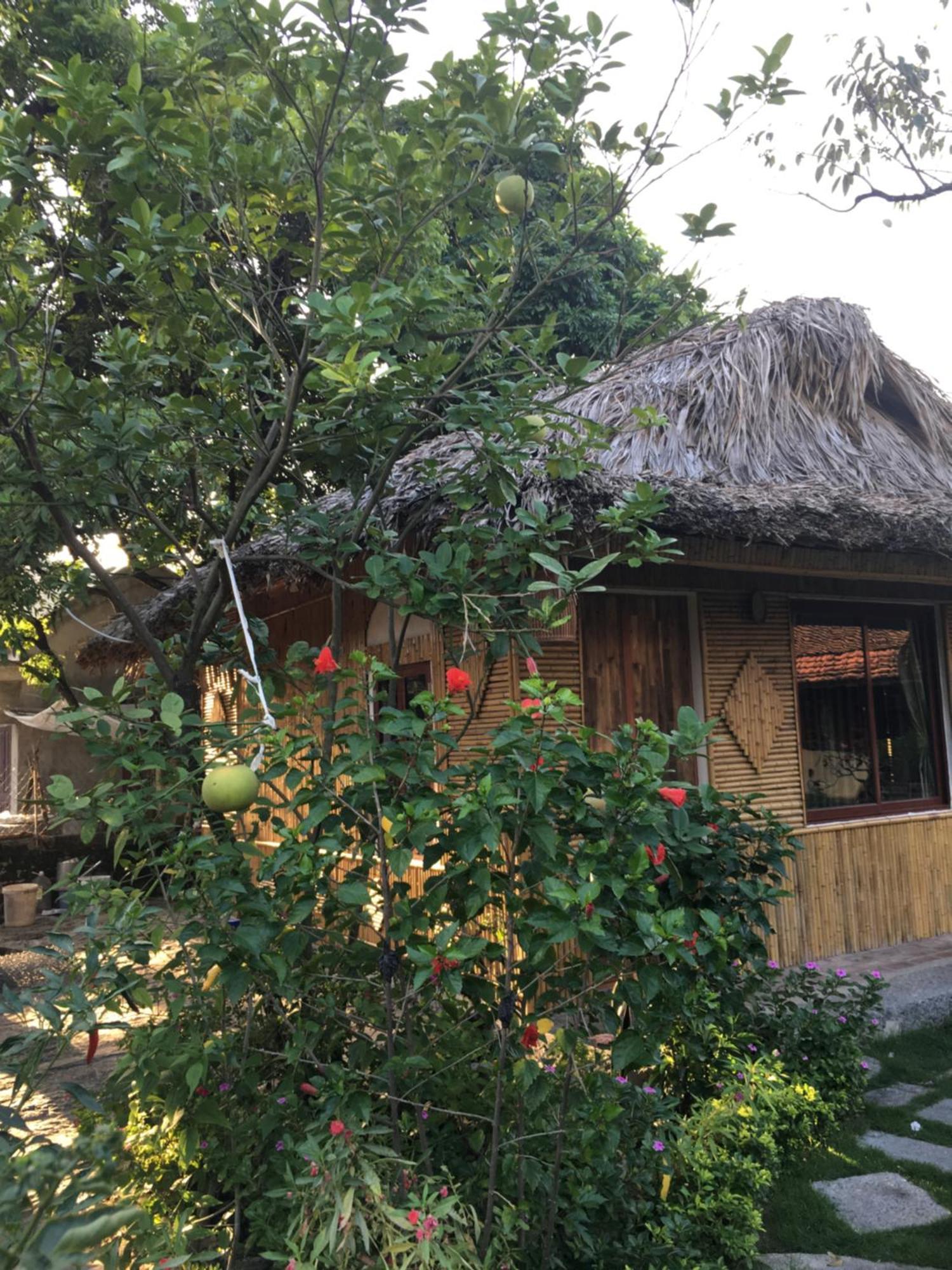 فيلا Tam Coc Palm House نينه بينه المظهر الخارجي الصورة