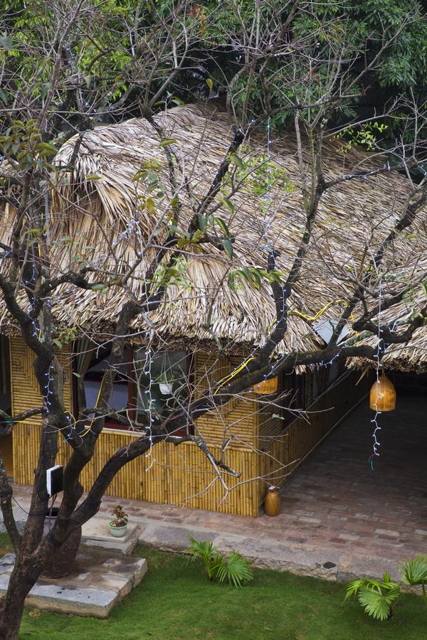فيلا Tam Coc Palm House نينه بينه المظهر الخارجي الصورة